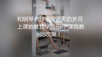 一只小胖猪8-21