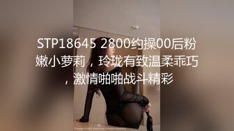 [MP4/ 110M]   你们平时看不到的女警私下一面，户外车震，大黑夜的在车里自慰，穿着黑丝，这淫水骚死啦