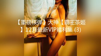 【重磅核弹】大神【霸王茶姬】12月最新VIP福利集 (3)