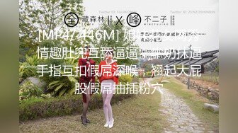 大丰妹妹大屁股捆绑后入