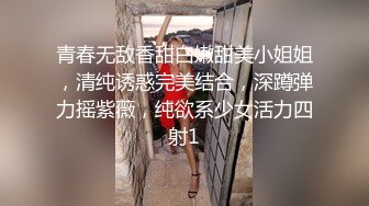 主观视角单挑巨乳家庭主妇Housewifes1on1系列早期资源合集第二弹【48V】 (28)