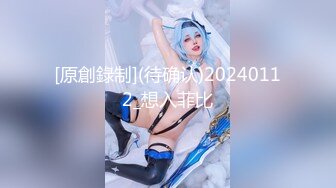 [原創錄制](待确认)20240112_想入菲比