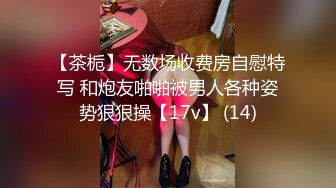 户外犬调完整版女主狙小久