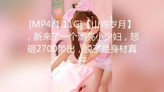 [MP4/1.11G]【山鸡岁月】，新来了一个漂亮小少妇，怒砸2700带出，脱了是身材真好