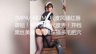 [MP4/ 482M] 极度风骚红唇御姐！初下海大尺度秀！开档黑丝美臀，假屌深插多毛肥穴