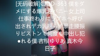 美しい人妻のねっとり甘い接吻と高級ランジェリーSEX 田舎育ちの僕を誘惑する都会暮らしの叔父の妻 三尾惠