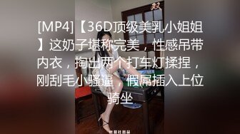 国产麻豆AV 蜜桃影像传媒 PM016 圣诞特别企划 禁锢女优任你插 艾玛