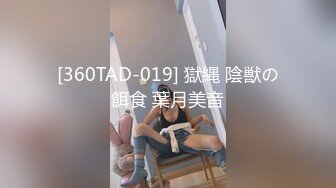 爱豆传媒ID5234风骚妻子趁老公醉酒淫乱居酒屋