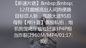 【新速片遞】&nbsp;&nbsp; ✅12月震撼流出人间肉便器目标百人斩，高颜大波95后母狗【榨汁夏】露脸私拍，炮机狗笼喝尿蜡烛封逼3P4P相当炸裂[2960M/MP4/01:17:30]