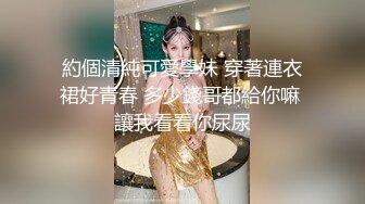 STP24874 涩会传媒 SH-013 《女优面试日记》女神初试爱 激情伴白带 白心语.