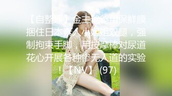 公司白领女秘书