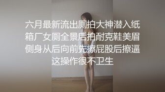 Ｔ字裤推销员的挑逗销售