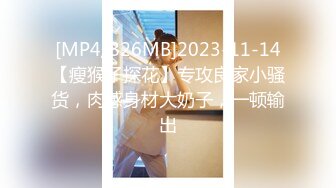 星空传媒XKVP041趁机强上房东风骚老婆