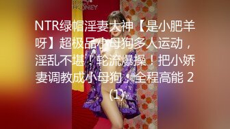 NTR绿帽淫妻大神【是小肥羊呀】超极品小母狗多人运动，淫乱不堪！轮流爆操！把小娇妻调教成小母狗，全程高能 2 (1)