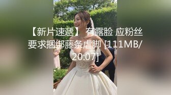 蜜桃传媒 pmc-464 强上我可爱的女房客-吴文淇