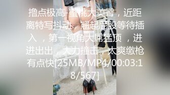 【OnlyFans】极品巨乳肥臀亚裔 NamiGoneWild合集 94