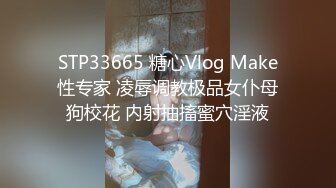 STP33665 糖心Vlog Make性专家 凌辱调教极品女仆母狗校花 内射抽搐蜜穴淫液