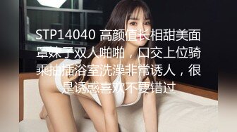 精选美女厕所TP系列 黑裤长腿美眉