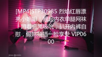 [MP4]STP30985 烈焰红唇漂亮小姐姐！翘起内衣单腿网袜！蹲着抓屌吸吮，扒开内裤自慰，假屌抽插一脸享受 VIP0600