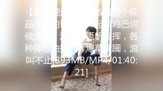 STP18033 高颜值花臂纹身嫩妹子，摸逼口交调情沙发上操抬腿侧入猛操