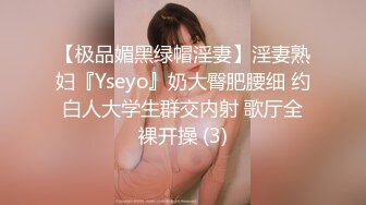 【极品媚黑绿帽淫妻】淫妻熟妇『Yseyo』奶大臀肥腰细 约白人大学生群交内射 歌厅全裸开操 (3)