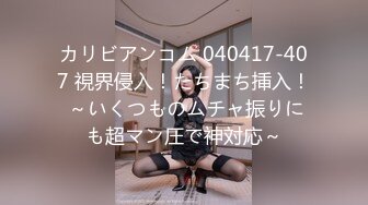 カリビアンコム 040417-407 視界侵入！たちまち挿入！ ～いくつものムチャ振りにも超マン圧で神対応～