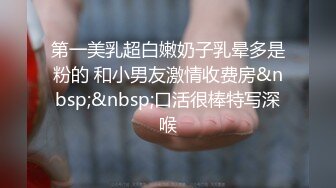 续前一视频，后入式