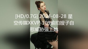 [HD/0.7G] 2024-08-28 星空传媒XKVP-109偷拍嫂子自慰威胁强上她