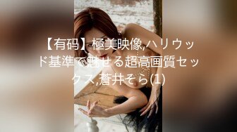 【有码】極美映像,ハリウッド基準で魅せる超高画質セックス,蒼井そら(1)