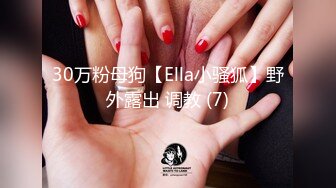 30万粉母狗【Ella小骚狐】野外露出 调教 (7)